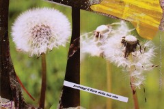 Bruno-Paglialonga-Proteggi-il-fiore-della-tua-vita-2016-tecnica-mista-e-collage-su-tavola-cm-45-x-53-2